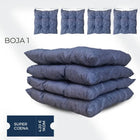 BOJA 1